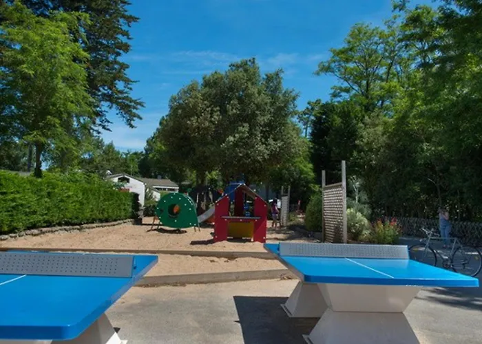 Convivial Pres De Avec Jardin_2 * Сен-Жан-де-Мон